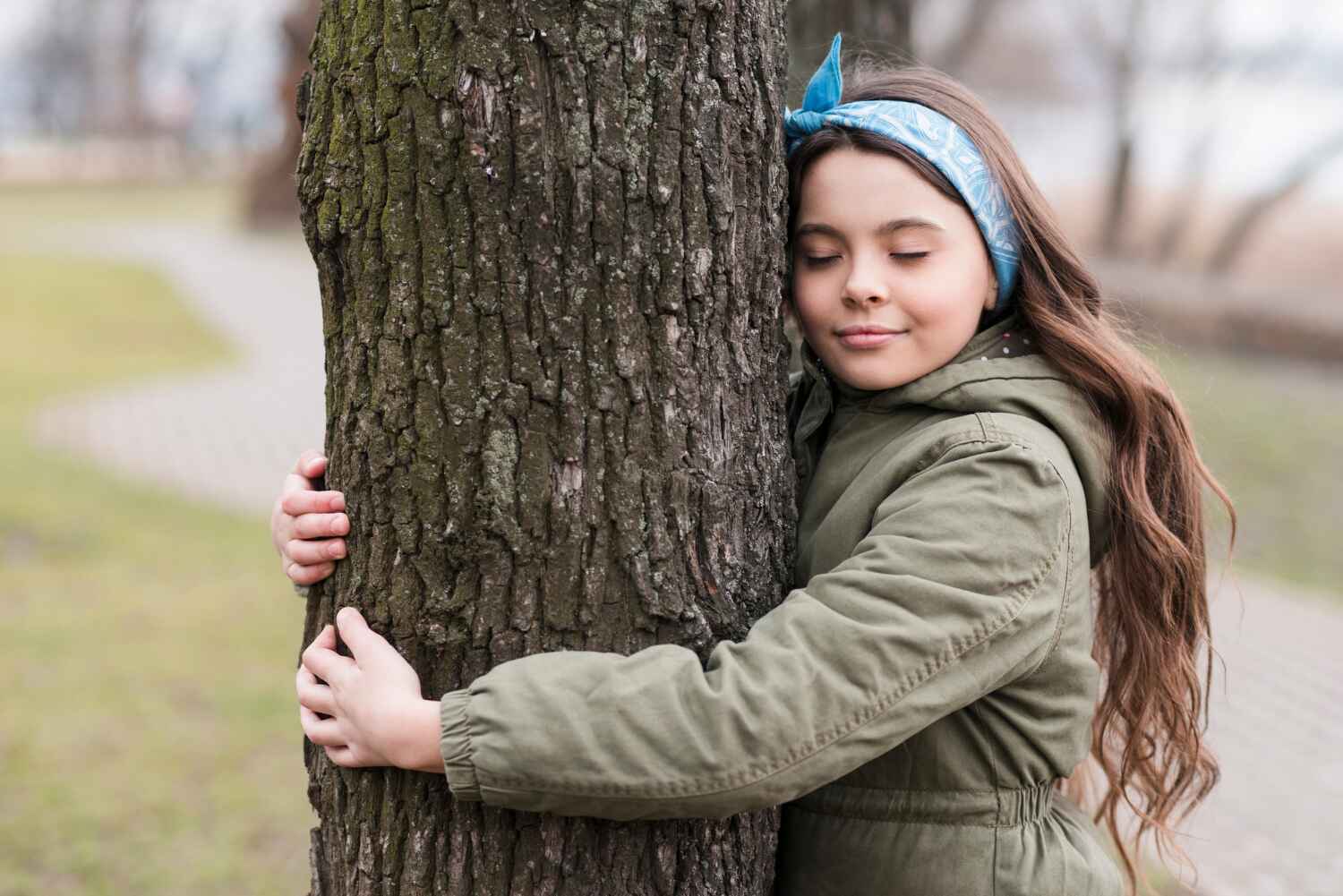 Best Palm Tree Trimming  in Germantown, IL